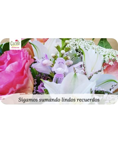 Sigamos sumando lindos recuerdos