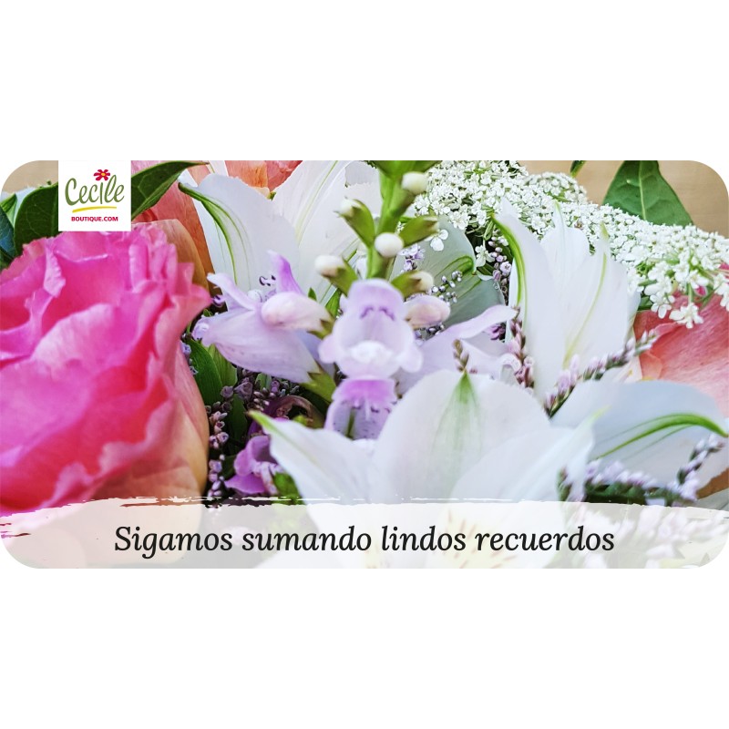 Sigamos sumando lindos recuerdos