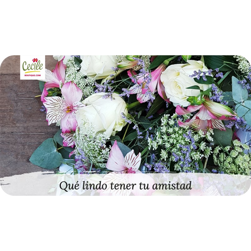 Qué lindo tener tu amistad