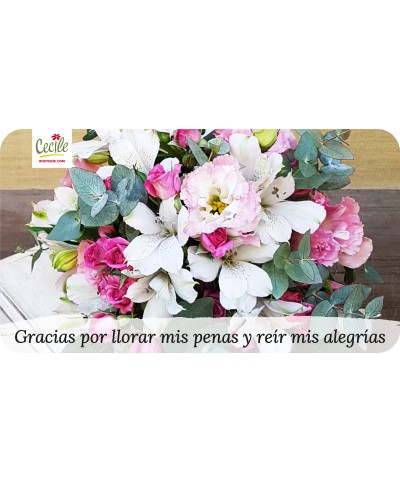 Gracias por llorar mis penas y reír mis alegrías