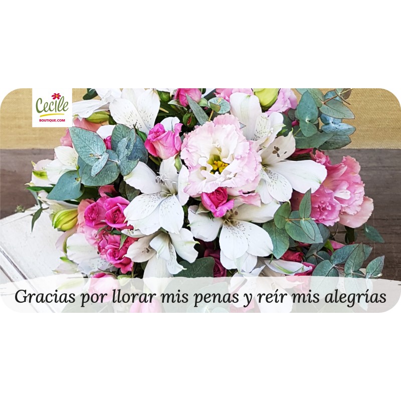 Gracias por llorar mis penas y reír mis alegrías