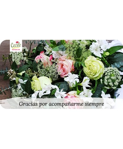  Thanks for always accompanying me