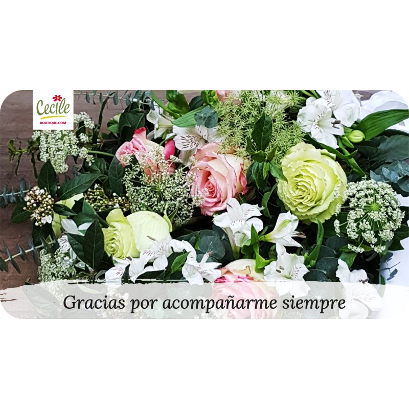  Thanks for always accompanying me