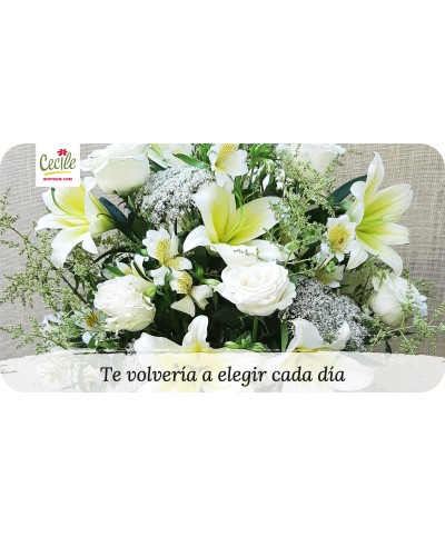 Te volvería a elegir cada día