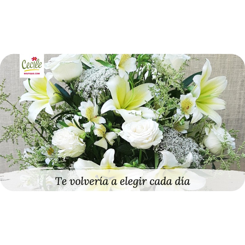 Te volvería a elegir cada día