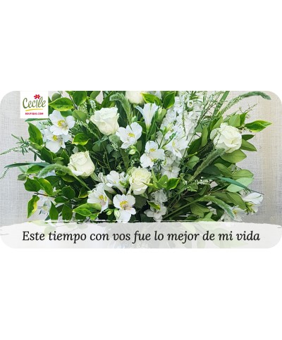 Este tiempo con vos fue lo mejor de mi vida