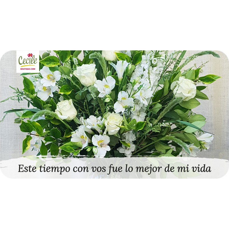 Este tiempo con vos fue lo mejor de mi vida