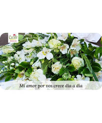 Mi amor por vos crece día a día