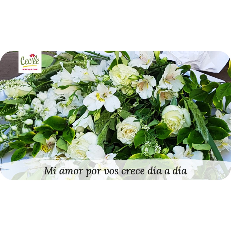 Mi amor por vos crece día a día