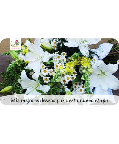 My most beautiful wishes for this new path