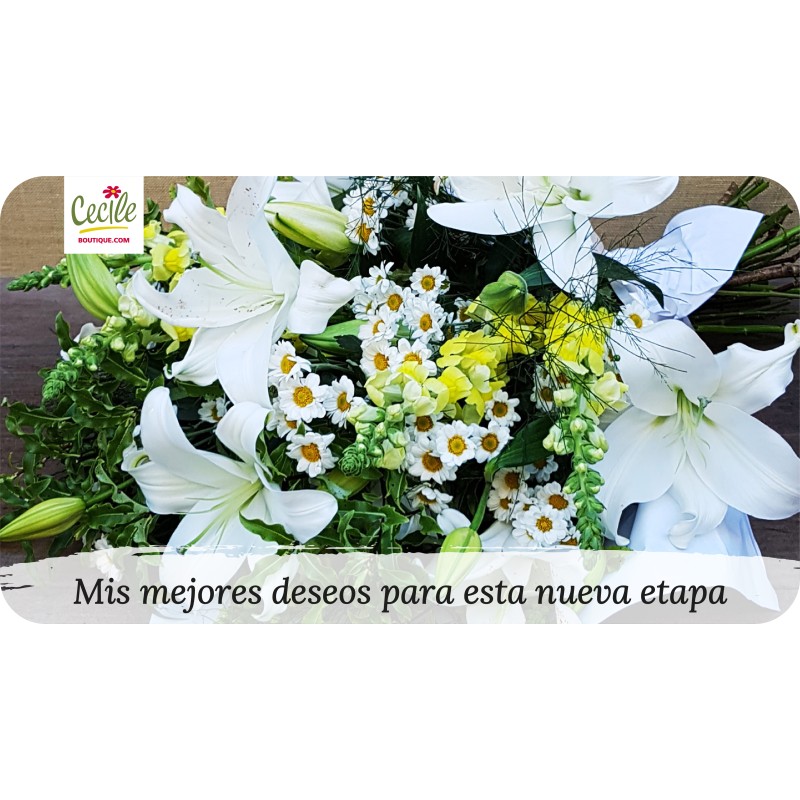 My most beautiful wishes for this new path