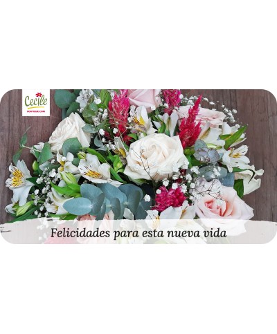 Felicidades nesta nova vida