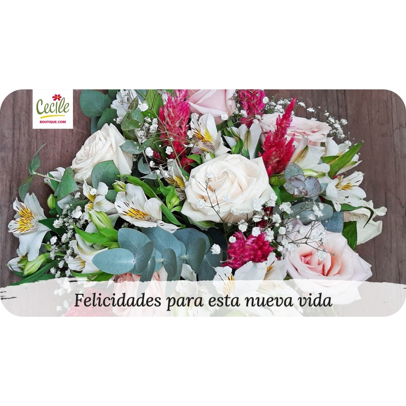 Felicidades nesta nova vida