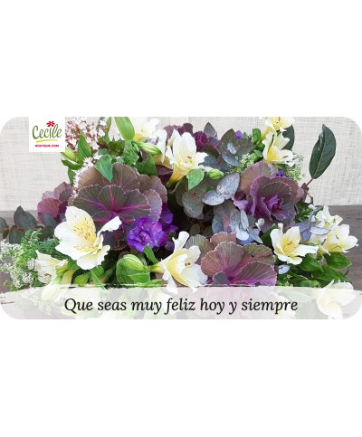 Que seas muy feliz hoy y siempre