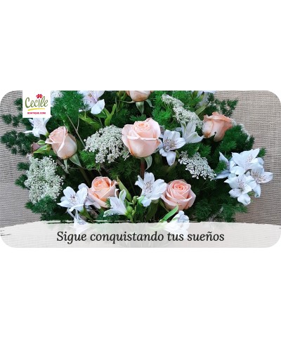 Continue conquistando seus sonhos