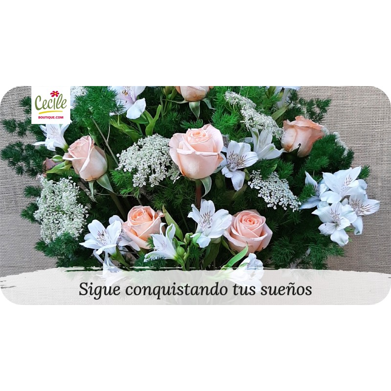 Continue conquistando seus sonhos