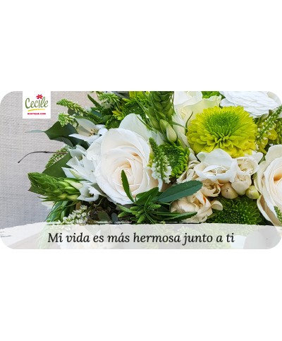 Mi vida es más hermosa junto a ti