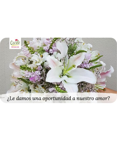 ¿Le damos una oportunidad a nuestro amor?