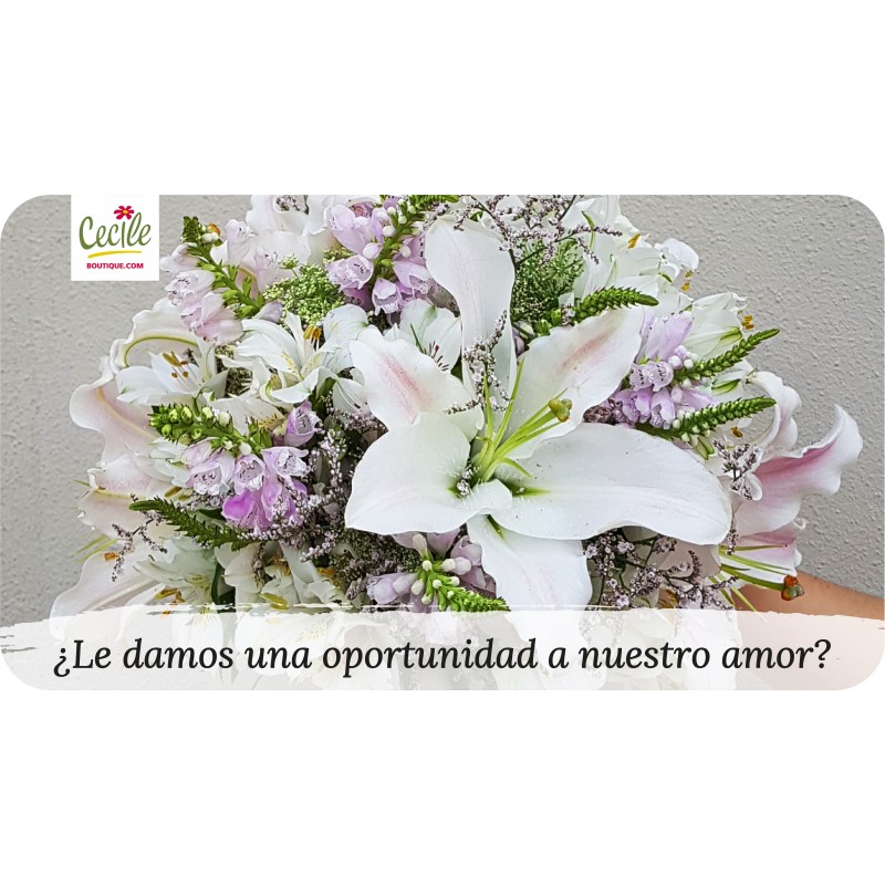 ¿Le damos una oportunidad a nuestro amor?