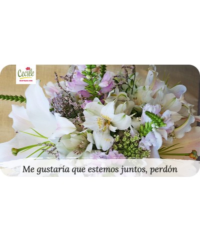 Me gustaría que estemos juntos, perdón