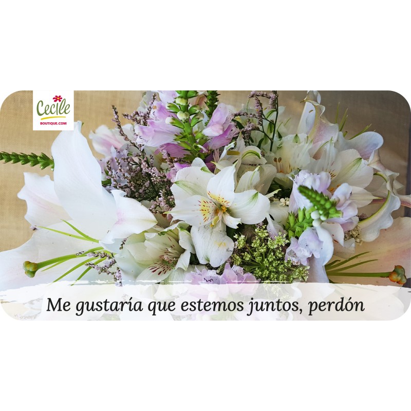 Me gustaría que estemos juntos, perdón