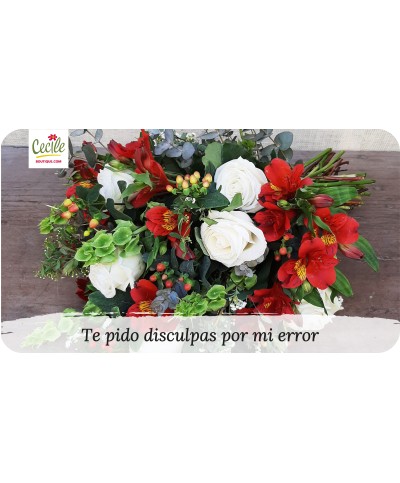 Te pido disculpas por mi error