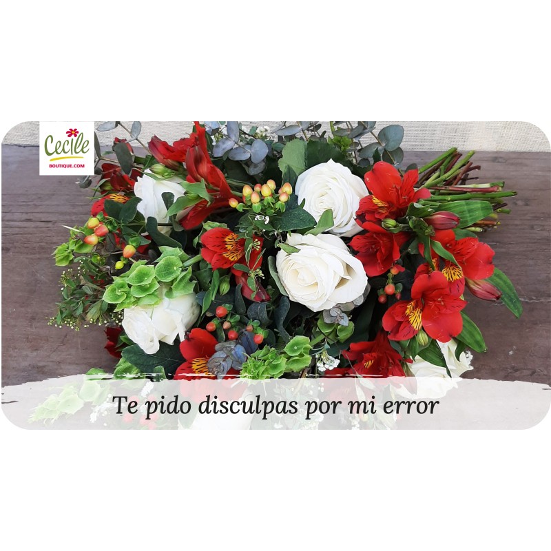 Te pido disculpas por mi error