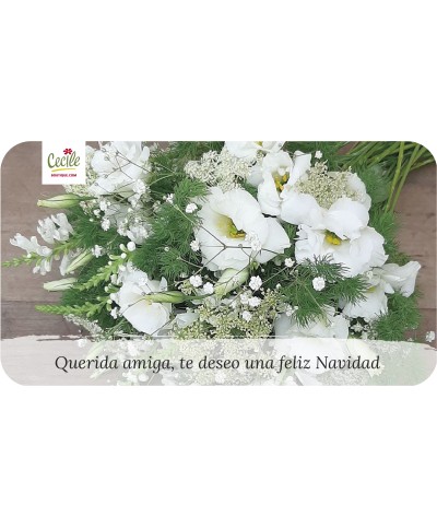 Querida amiga, te desejo um feliz Natal