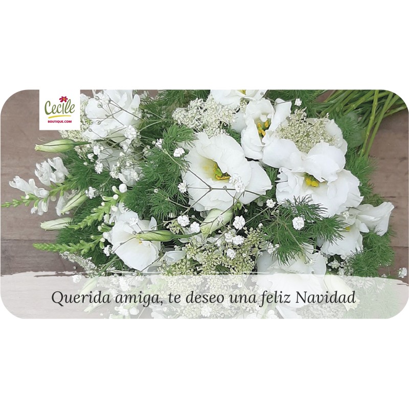Querida amiga, te desejo um feliz Natal