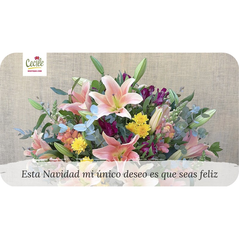 Neste Natal meu único desejo é que você seja feliz