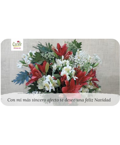 Com o meu mais sincero carinho desejo-lhe um feliz Natal