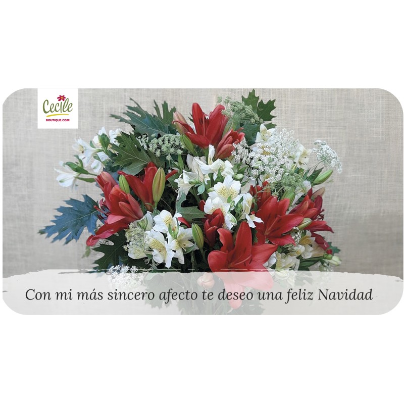 Com o meu mais sincero carinho desejo-lhe um feliz Natal