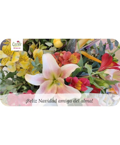 Feliz Natal, querida amiga!