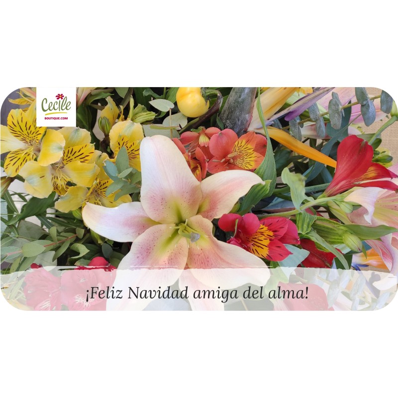 Feliz Natal, querida amiga!