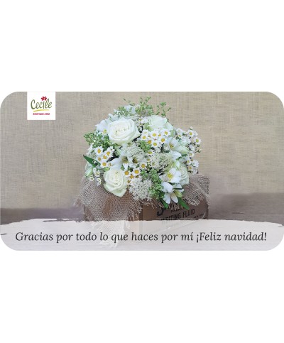 Gracias por todo lo que haces por mí ¡Feliz navidad!