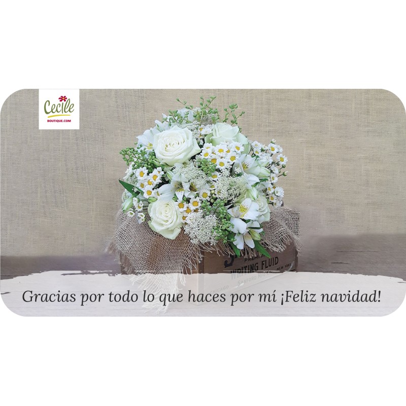 Gracias por todo lo que haces por mí ¡Feliz navidad!