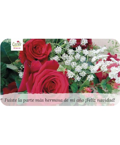 Fuiste la parte más hermosa de mi año ¡Feliz navidad! 