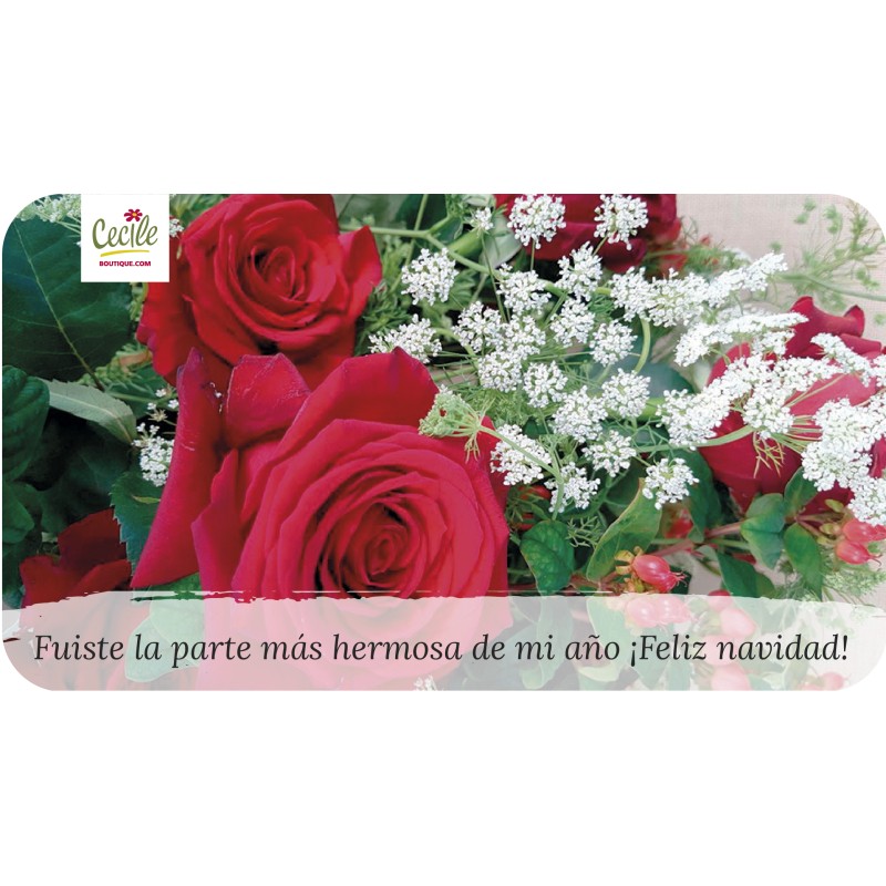 Fuiste la parte más hermosa de mi año ¡Feliz navidad! 