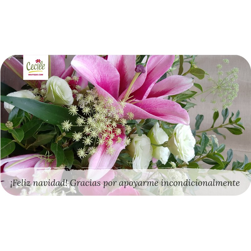 ¡Feliz navidad! Gracias por apoyarme incondicionalmente