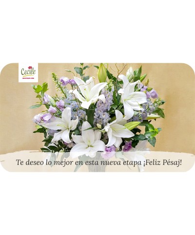 Te deseo lo mejor en esta nueva etapa ¡Feliz Pésaj!