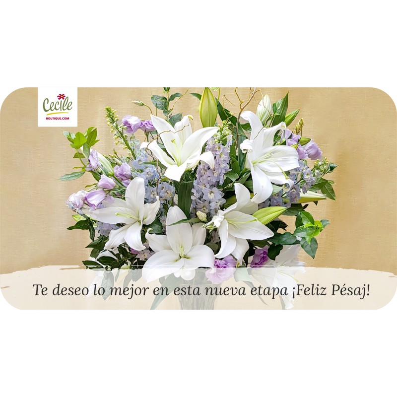 Te deseo lo mejor en esta nueva etapa ¡Feliz Pésaj!