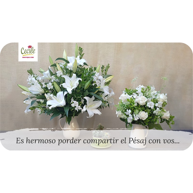 Es hermoso poder compartir el Pésaj con vos...