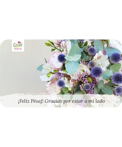 ¡Feliz Pésaj! Gracias por estar a mi lado