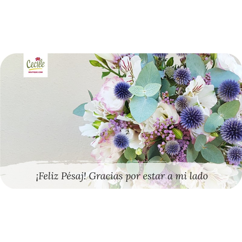 ¡Feliz Pésaj! Gracias por estar a mi lado