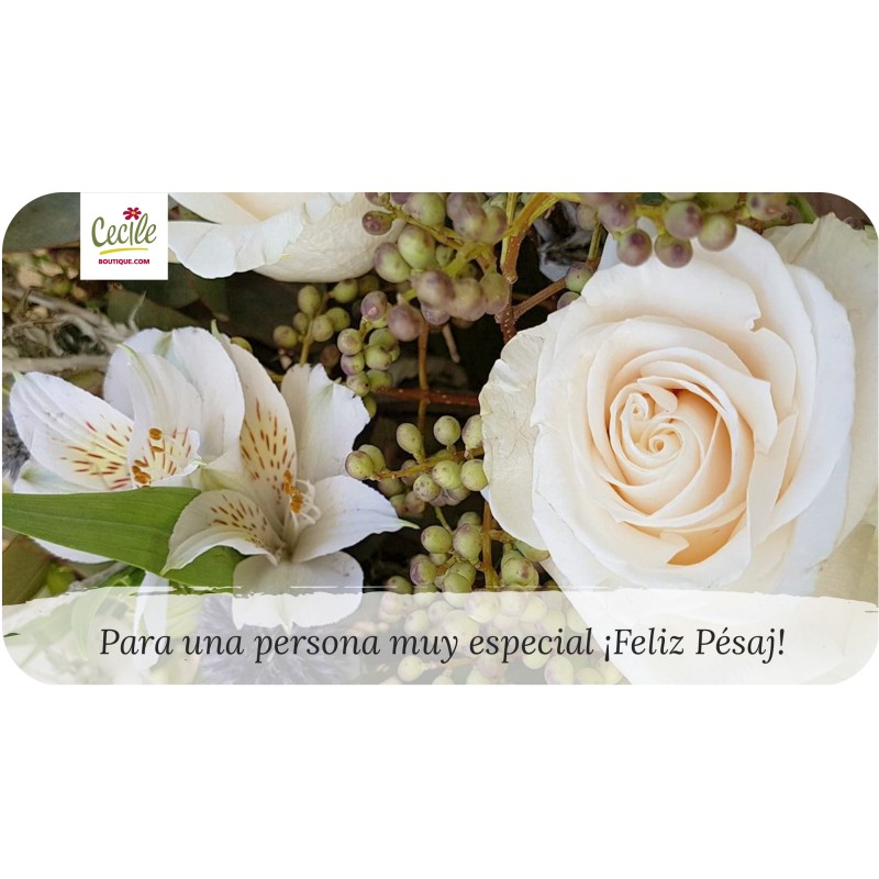 Para una persona muy especial, ¡Feliz Pésaj!