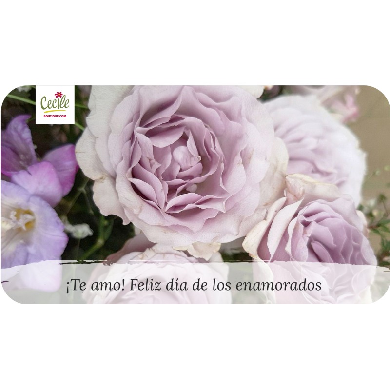 ¡Te amo! Feliz día de los enamorados