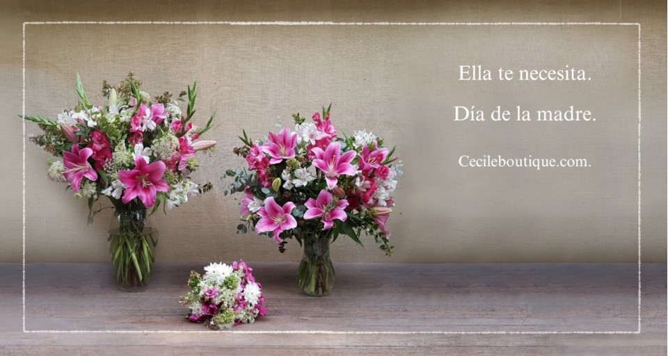 Dia de las madres