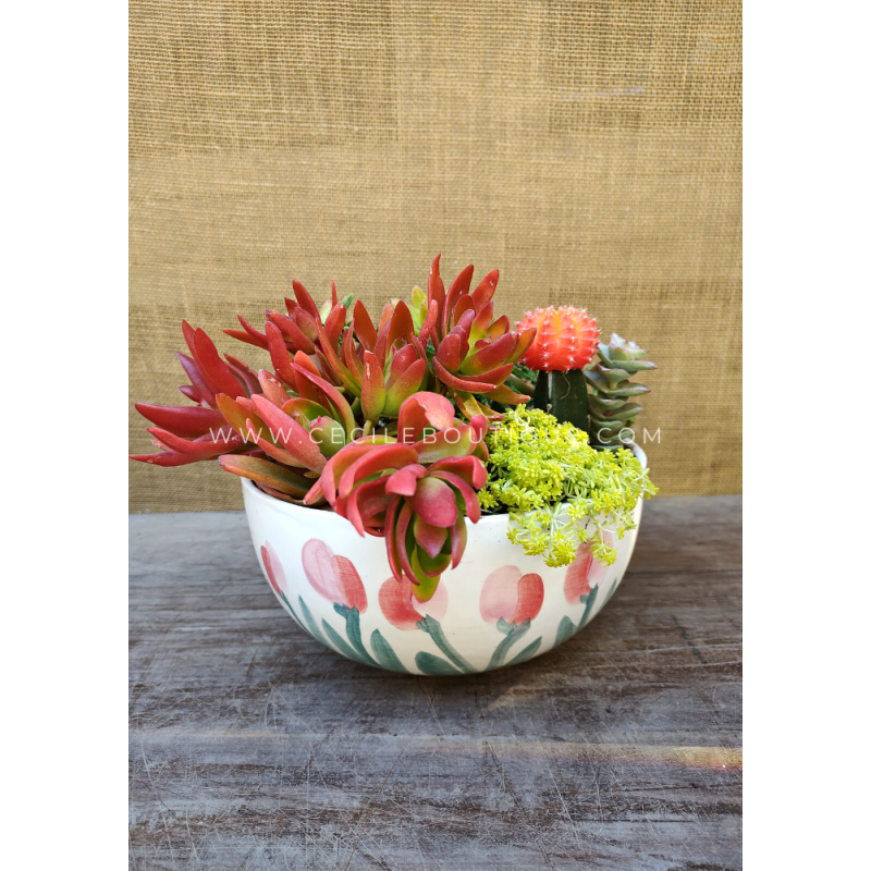 Impulso- Jardín de suculentas