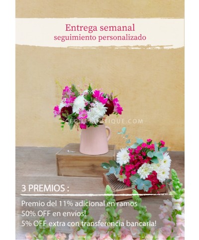 Suscripción Mensual