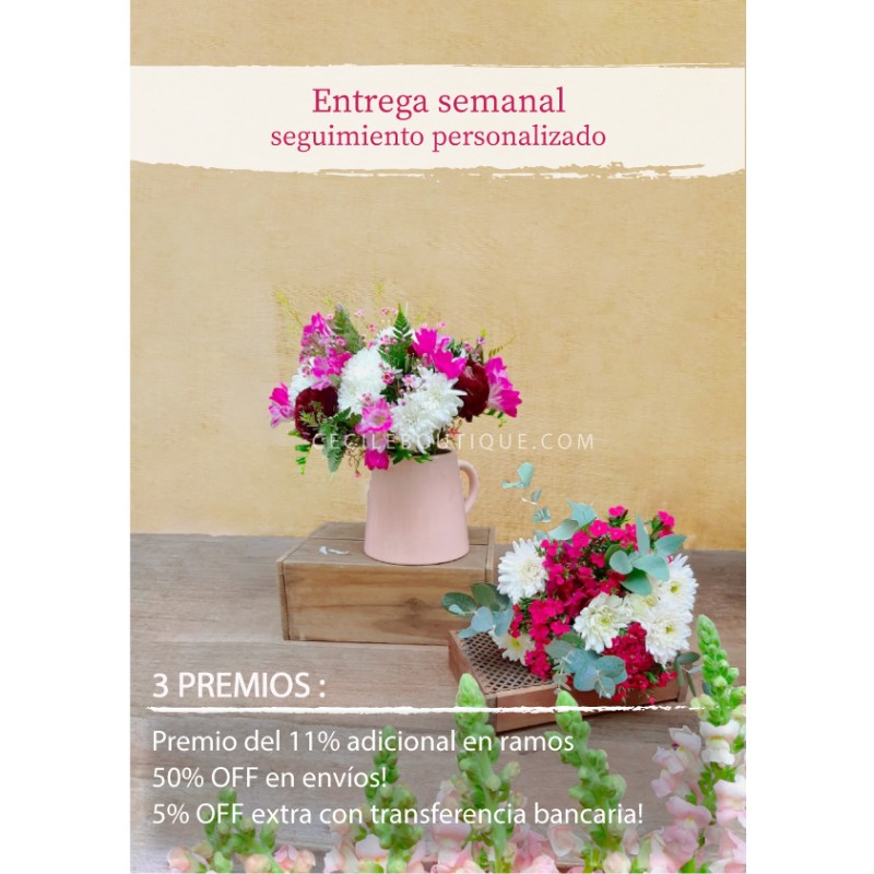 Suscripción Mensual Suscripción Mensual